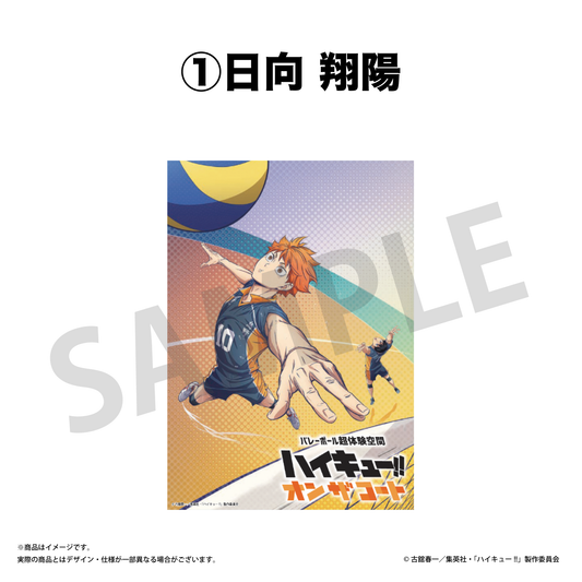 ビジュアルクリアポスター / 日向 翔陽